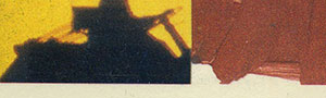 Джоанна Стингрэй и БГ – GREENPEACE ROCKS (SNC Records SNC 0001) – обложка (var. 1), оборотная сторона (вар. B) – фрагмент (левая нижняя часть)